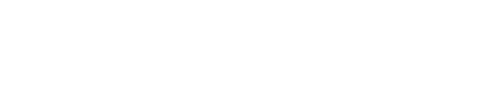 Fairfax Divorce Lawyers by The Irving Law Firm White Logo